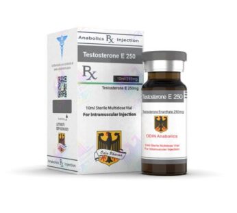 Testosterone E 250 Odin Pharma